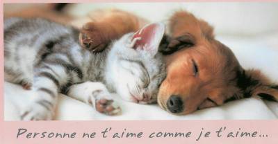 eh oui c mimi